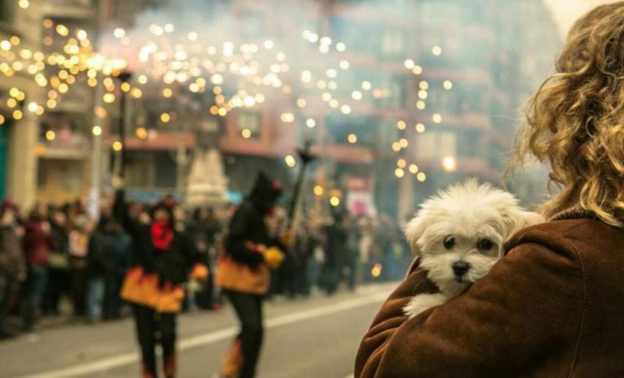 ANSA, îndemn de sărbători: „Renunțați la focurile de artificii, protejați animalele și mediul înconjurător”