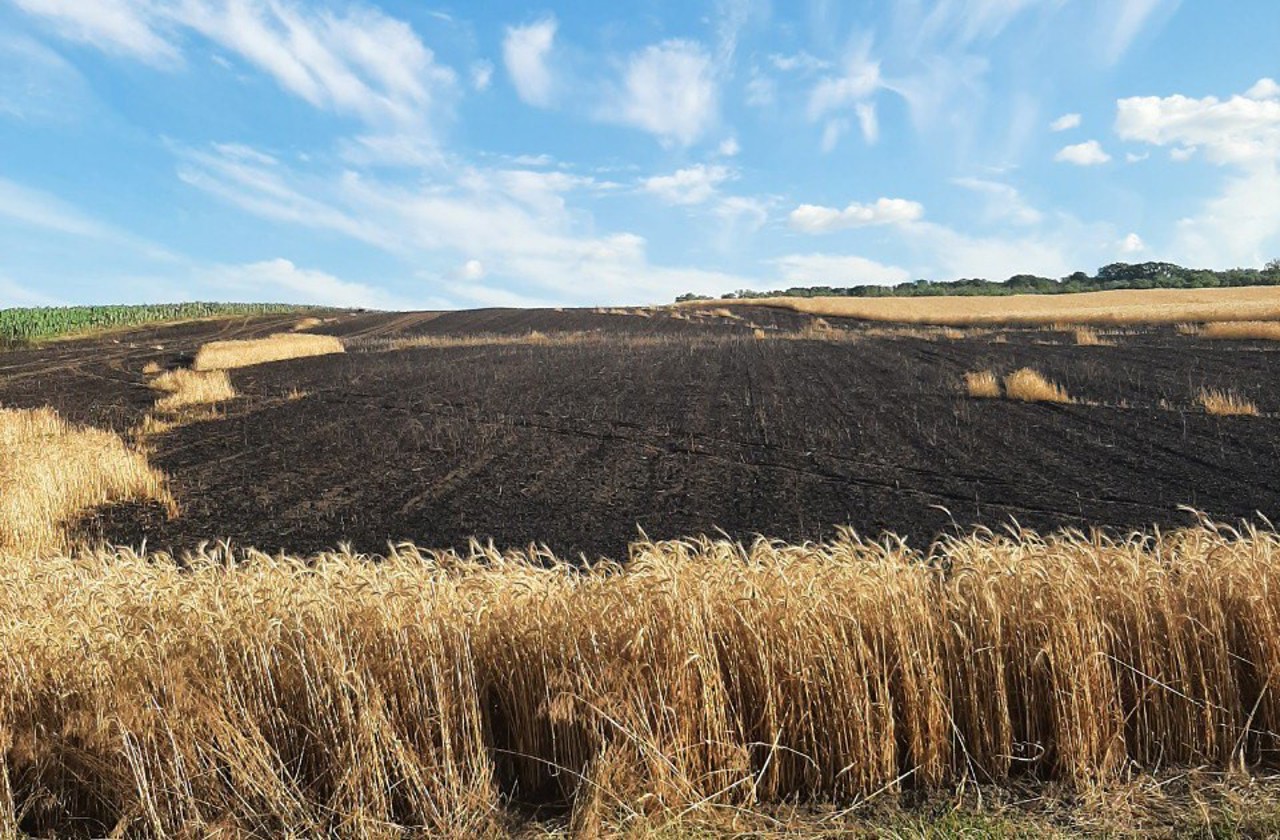 Incendiu de vegetație în raionul Anenii Noi: Zeci de hectare de orz și grâu au fost nimicite