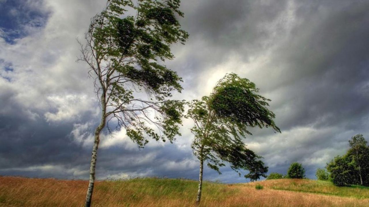 Meteorologii au emis cod galben de vânt puternic