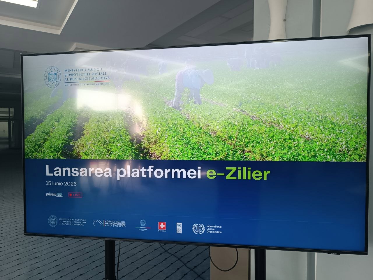 Munca sezonieră, înregistrată oficial: Platforma „e-Zilier” promite contribuții la pensii și siguranță socială