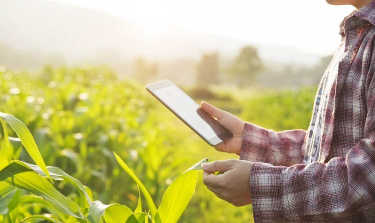 Consilierea agricolă, tot mai solicitată de fermierii din Republica Moldova