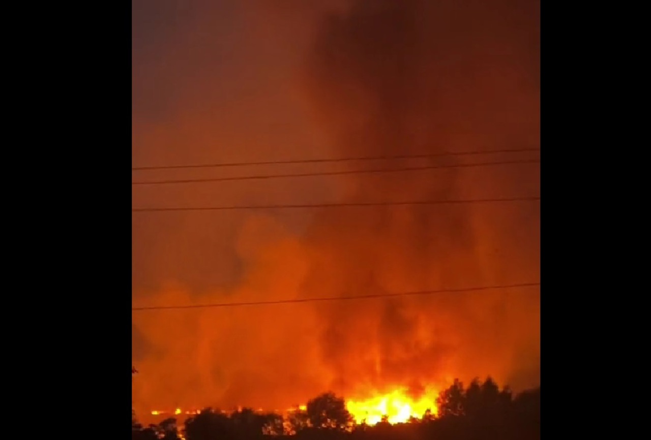 Massive fire in Dănceni. 20 hectares of reeds burnt