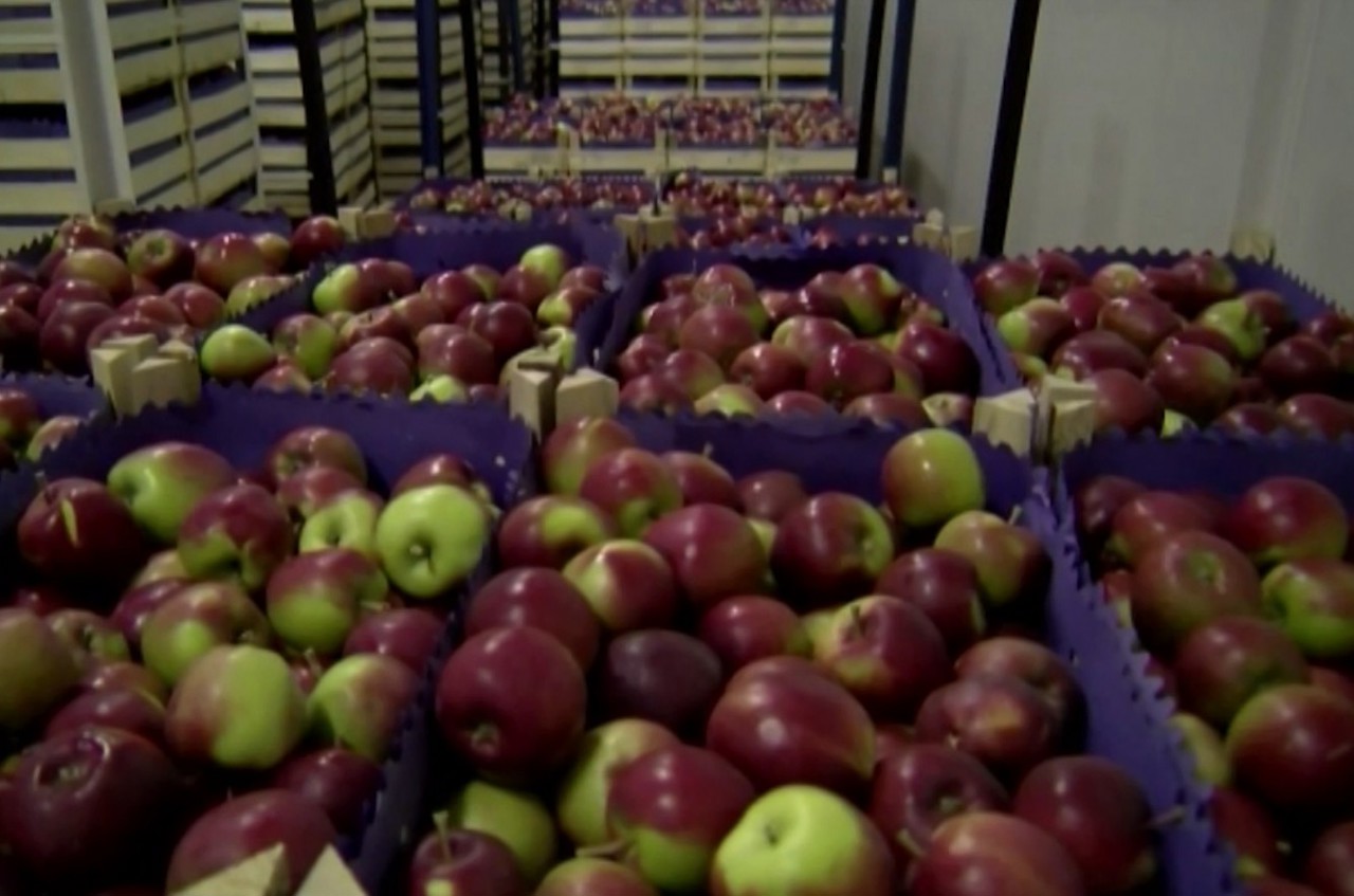 Conflictul din Orientul Mijlociu afectează producătorii și exportatorii din R. Moldova