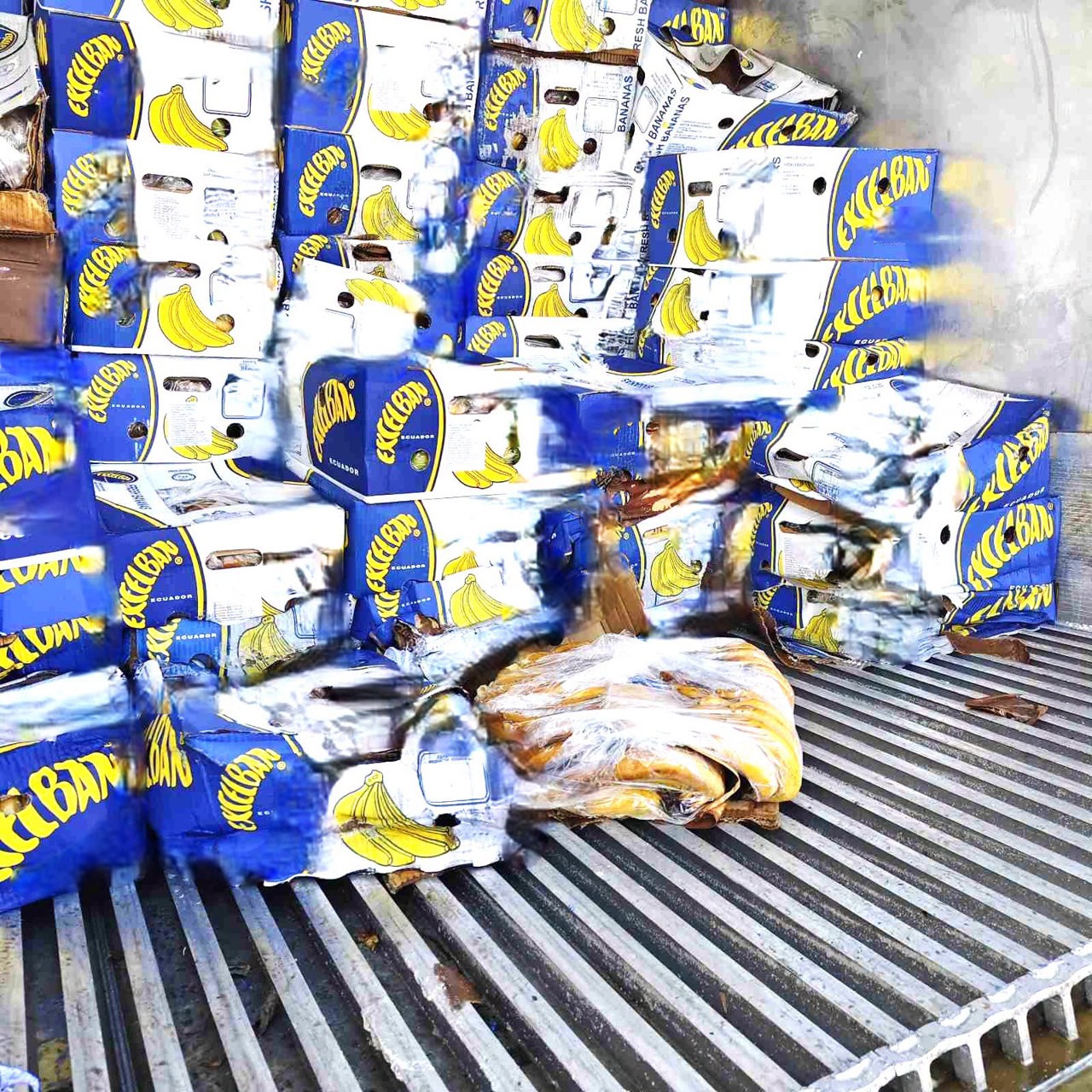 Over 24 tons of spoiled bananas and pesticide-laced tea destroyed under ANSA supervision