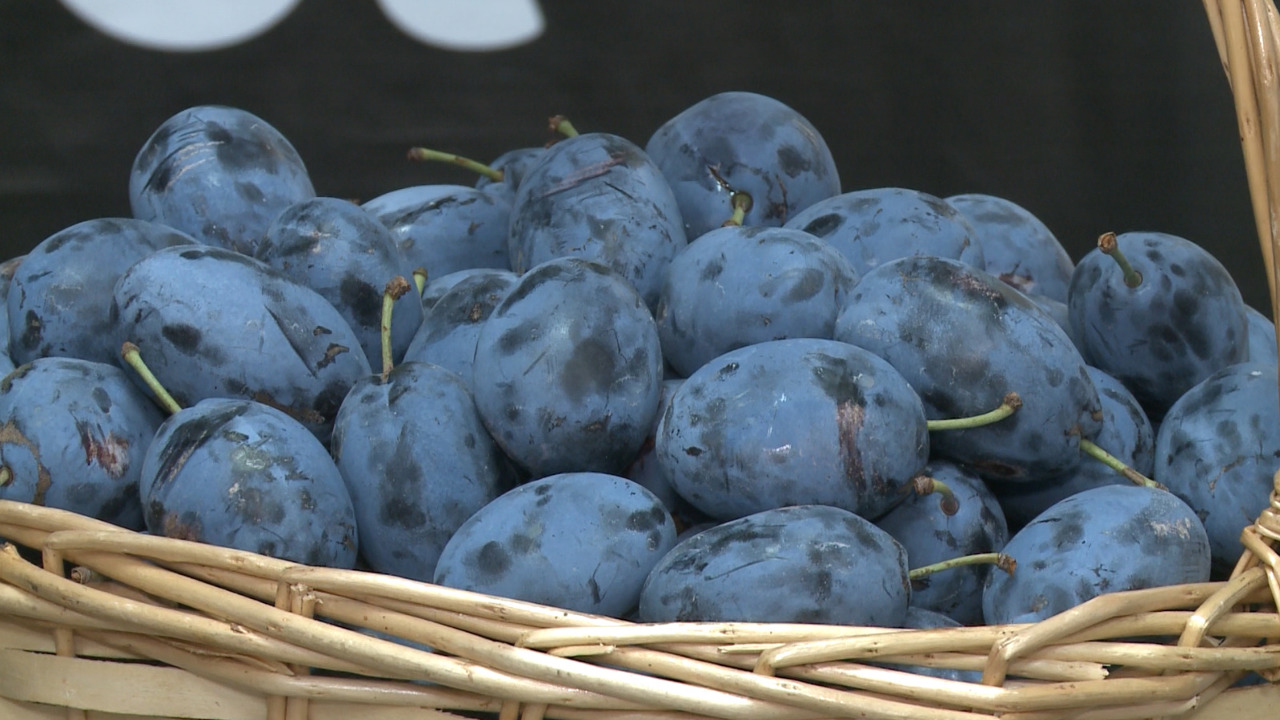 Moldovan plums gain ground on European market as demand grows