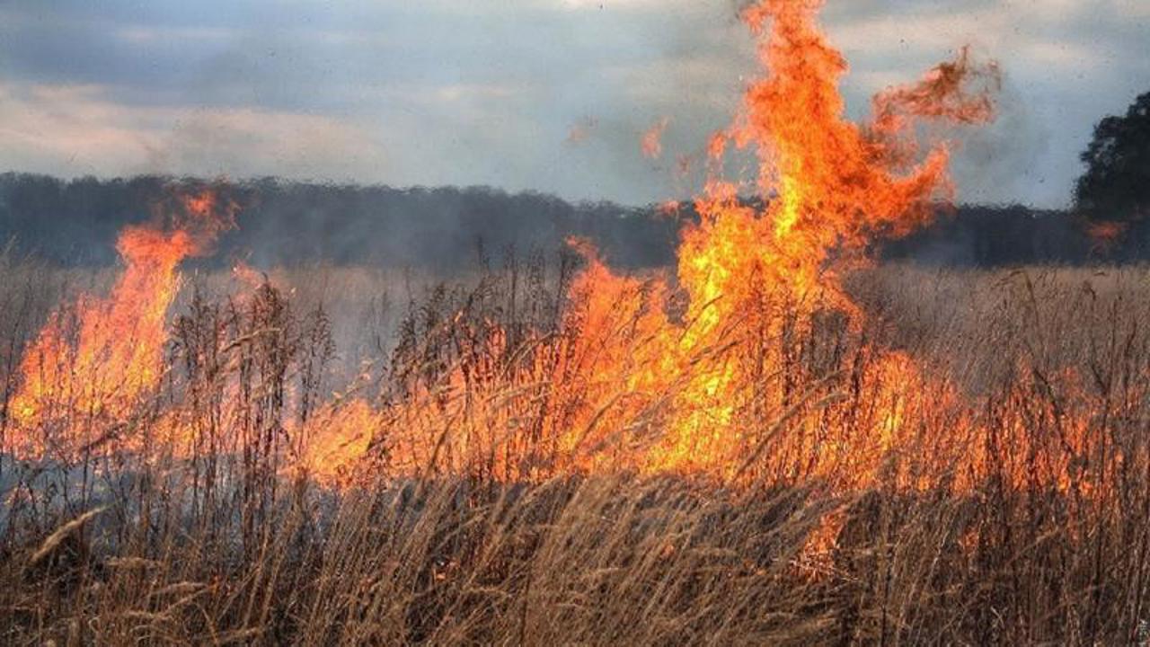 Un bărbat de 62 de ani, transportat la spital după ce a încercat să stingă un incendiu de vegetație