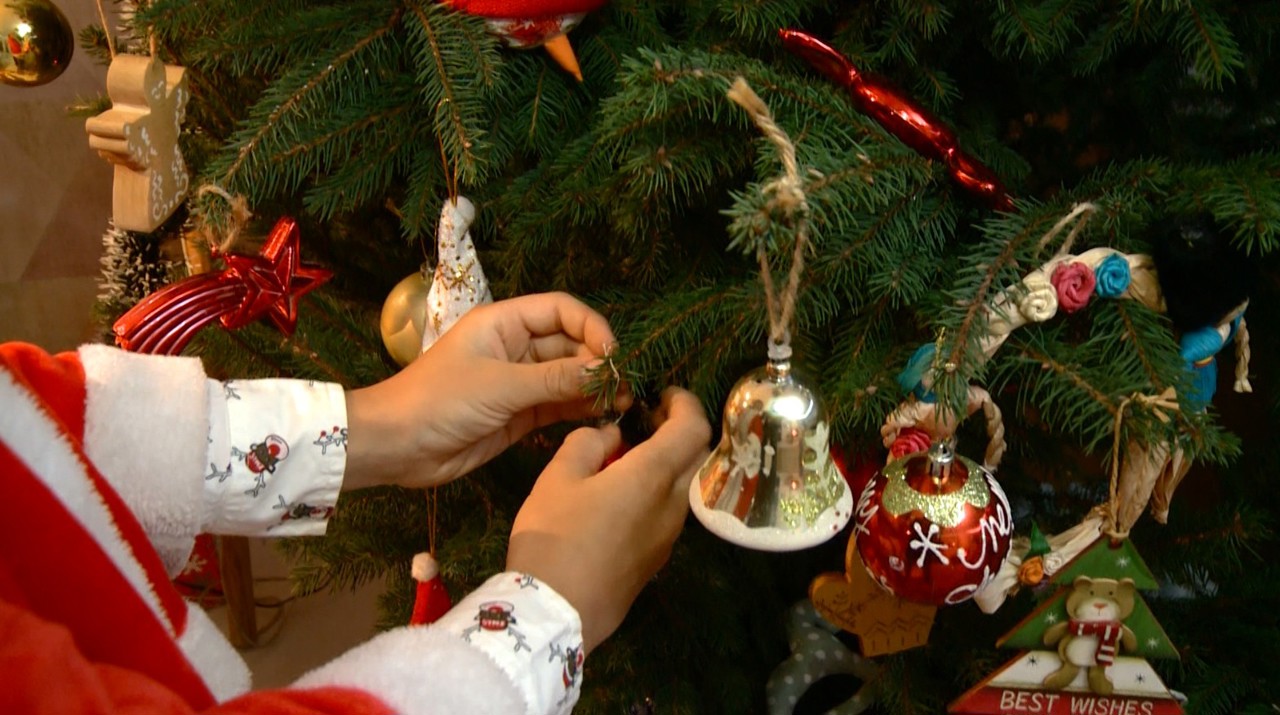 Christmas spirit fills homes as many families decorate their trees early in winter