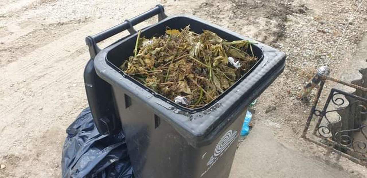 Opinii contradictorii după inițiativa edilului capitalei privind campania de salubrizare în școli și elevii premiați 