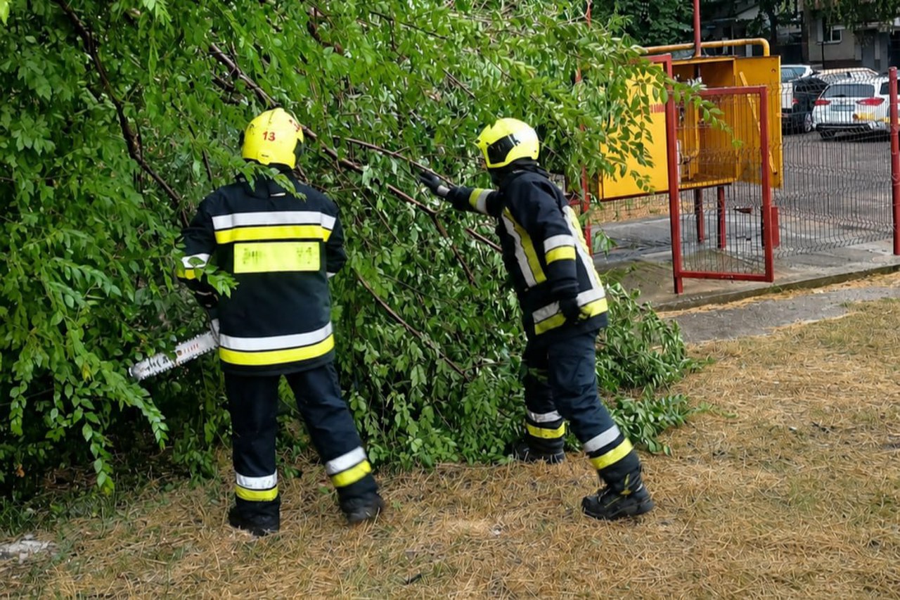Ploile și vântul puternic au provocat pagube în mai multe raioane. IGSU a intervenit în zece cazuri