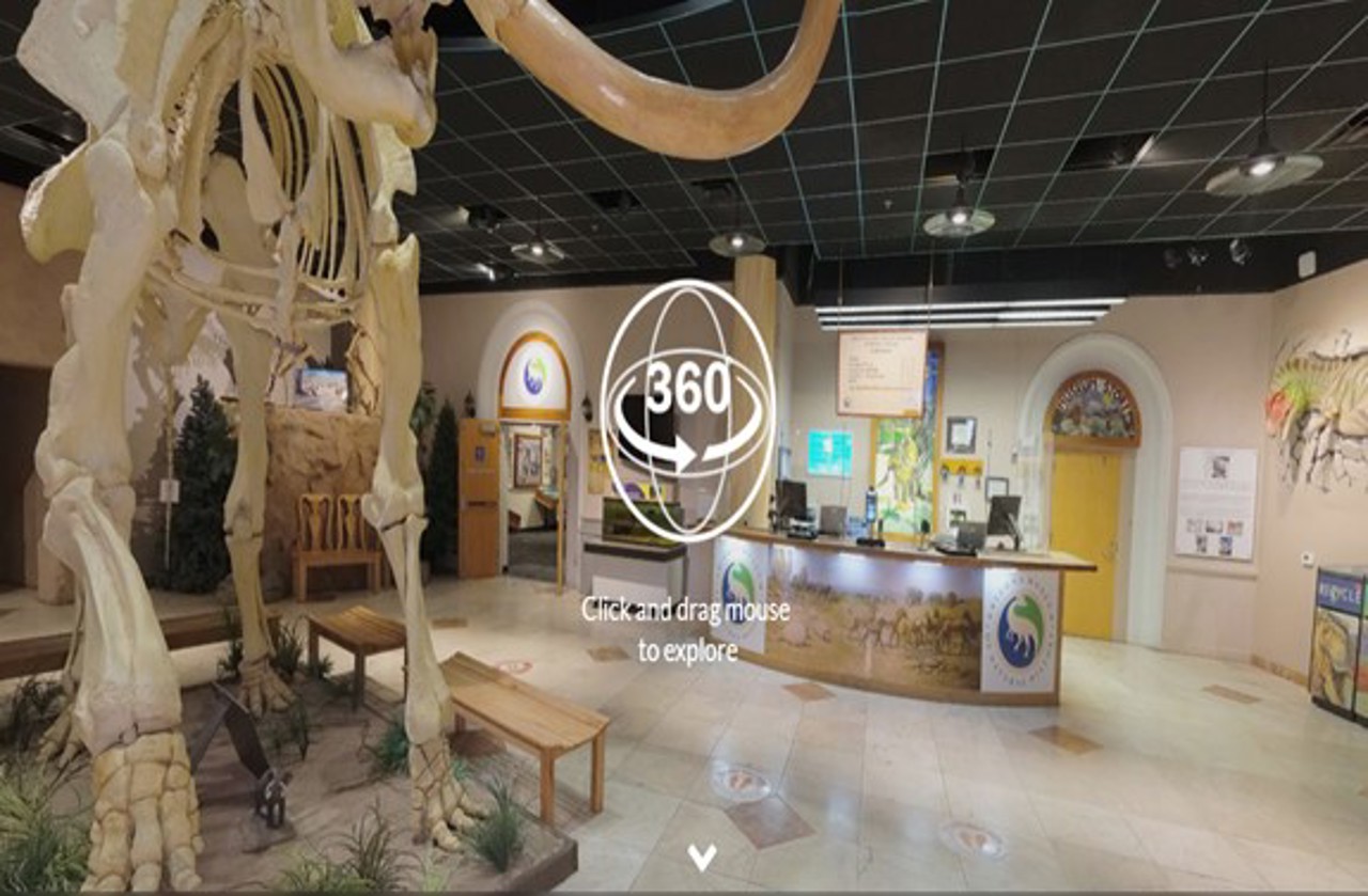 În Republica Moldova ar putea apărea muzee virtuale