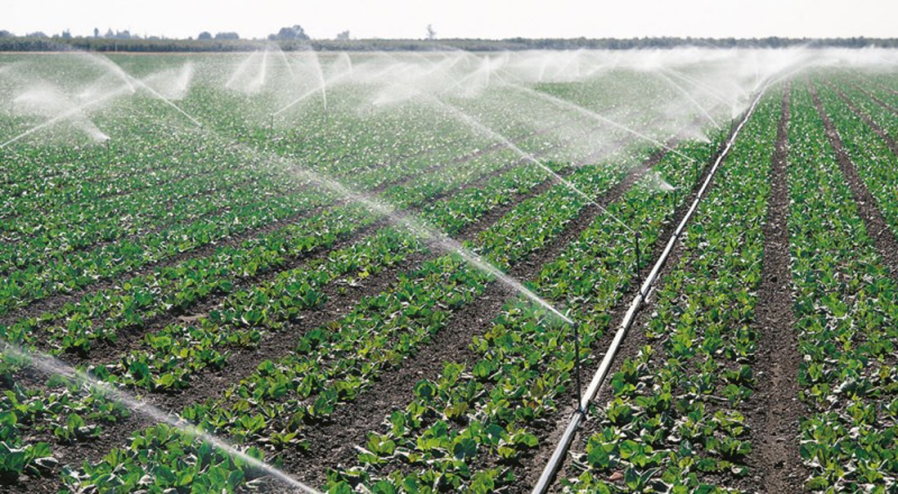 The Republic of Moldova borrows 25 million dollars for fixing irrigation systems