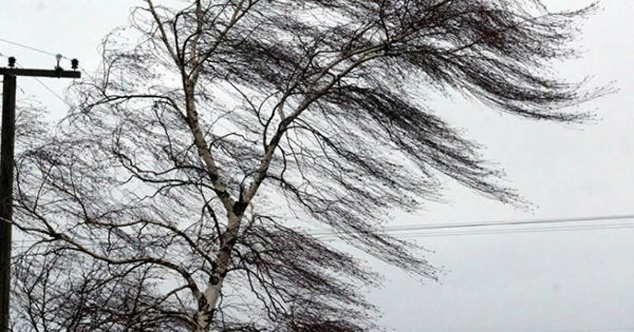 Vânt puternic în toată țara: Oamenii, îndemnați să evite zonele periculoase