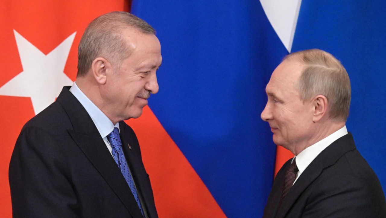 Putin, Erdogan to meet in Sochi to discuss grain corridor