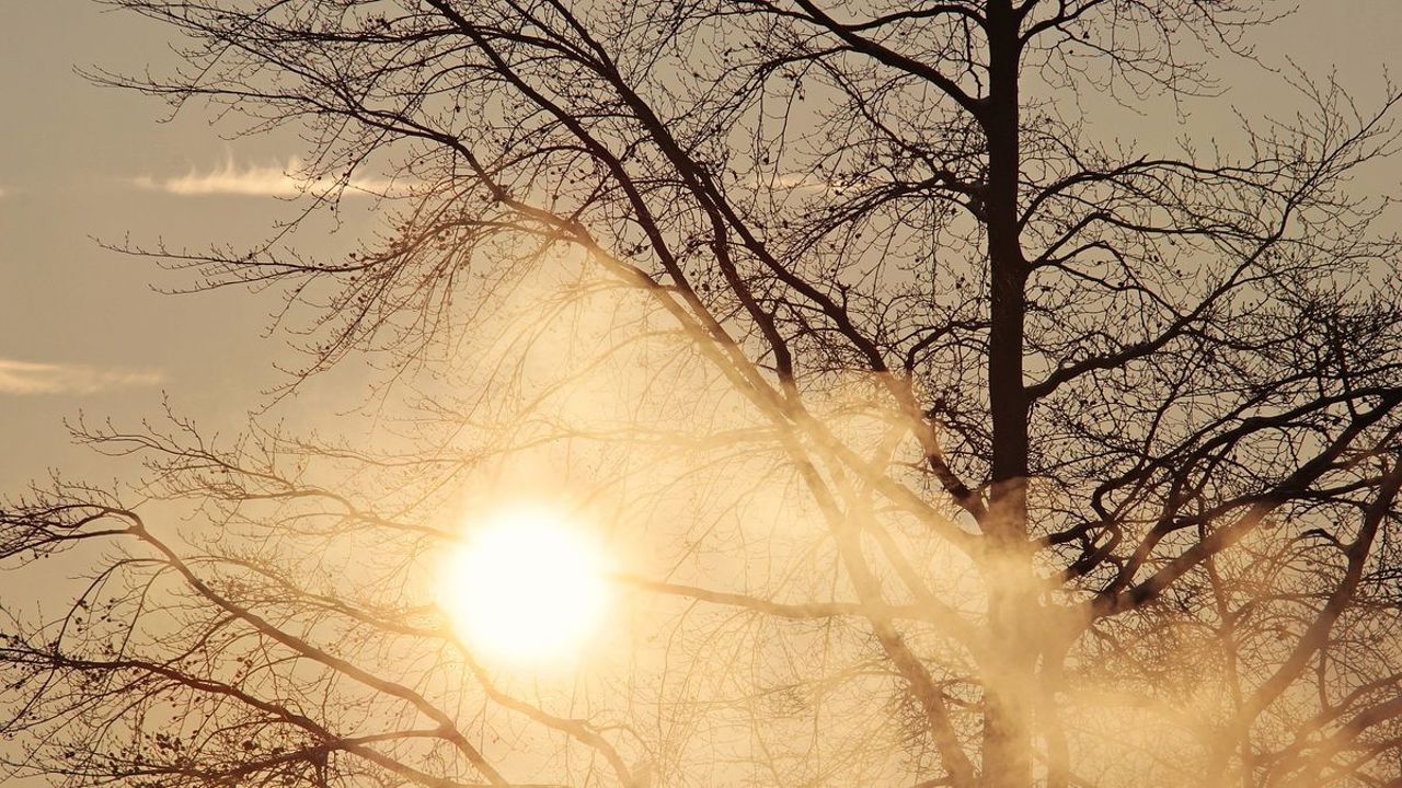 Метеорологи предупреждают: в Республике Молдова фиксируются аномальные температуры для этого периода