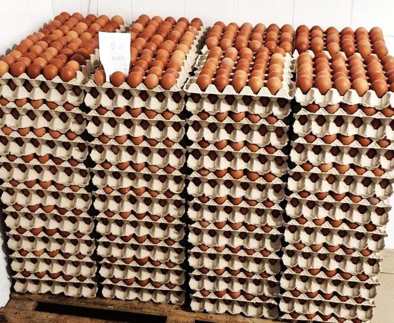 Lot de ouă, retras de pe piață. ANSA a depistat reziduuri de medicamente  