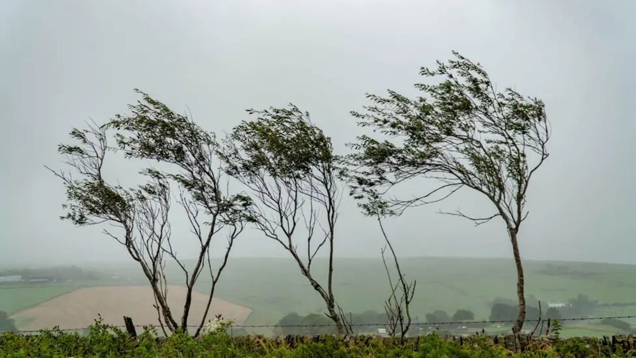 Avertizare meteo: Cod galben de vânt pe întreg teritoriul țării