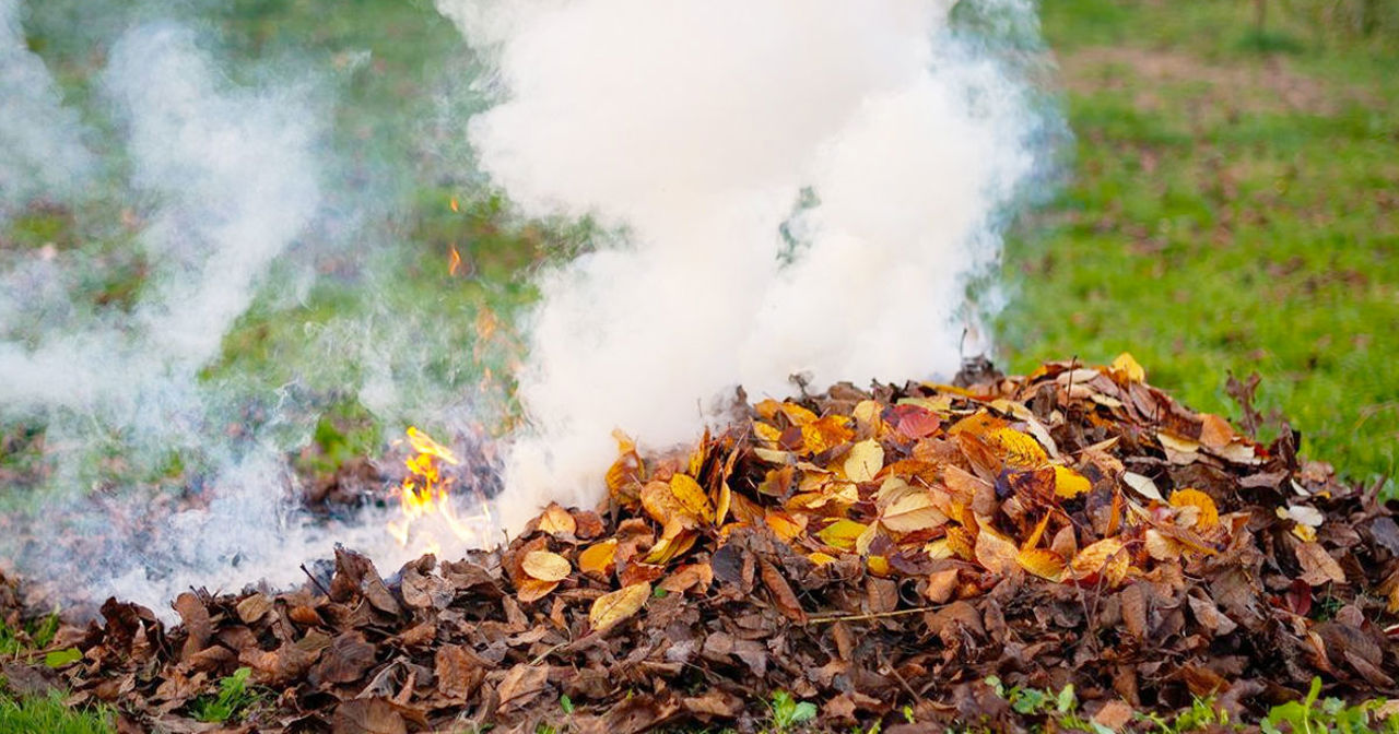 Arderea frunzelor este interzisă: amenzi de până la 40 de mii de lei pentru încălcarea legii