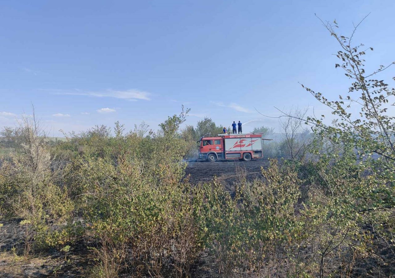 Peste 120 de hectare, afectate de flăcări într-o singură zi: Pompierii, în alertă maximă