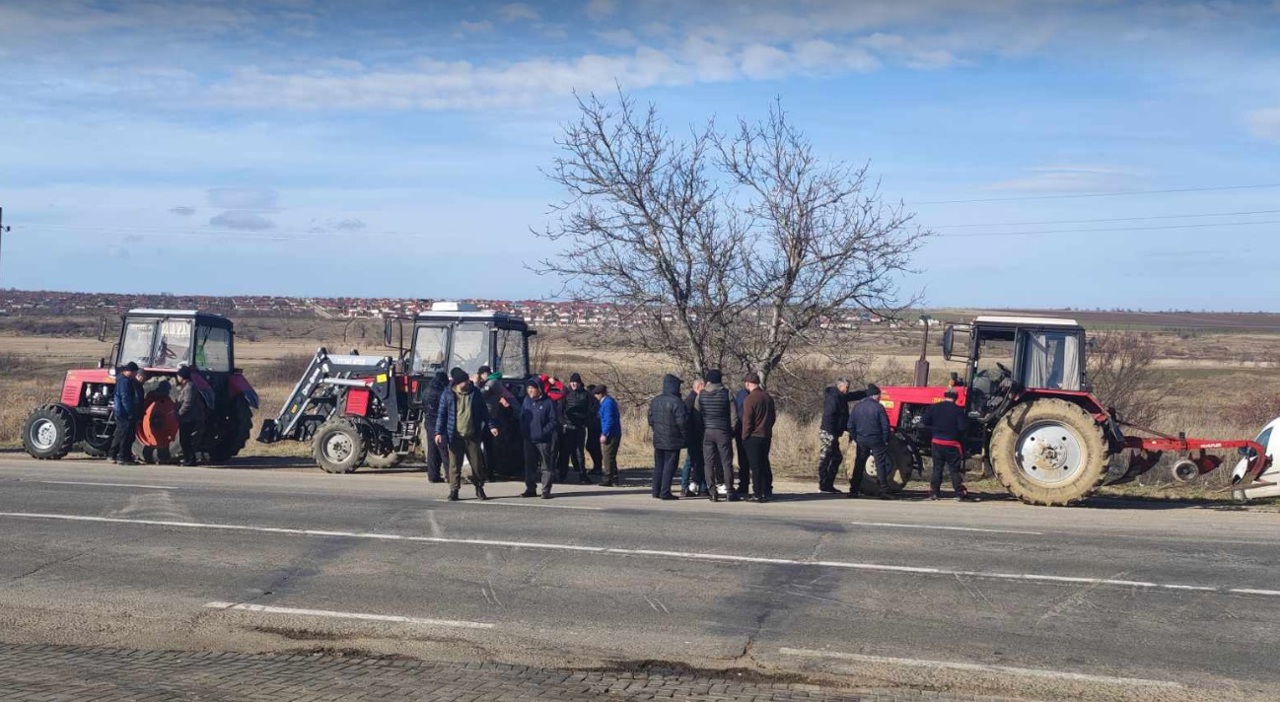 Сотни легковых и грузовых автомобилей заблокированы в Леушень из-за протестов фермеров. Полиция предупреждает протестующих