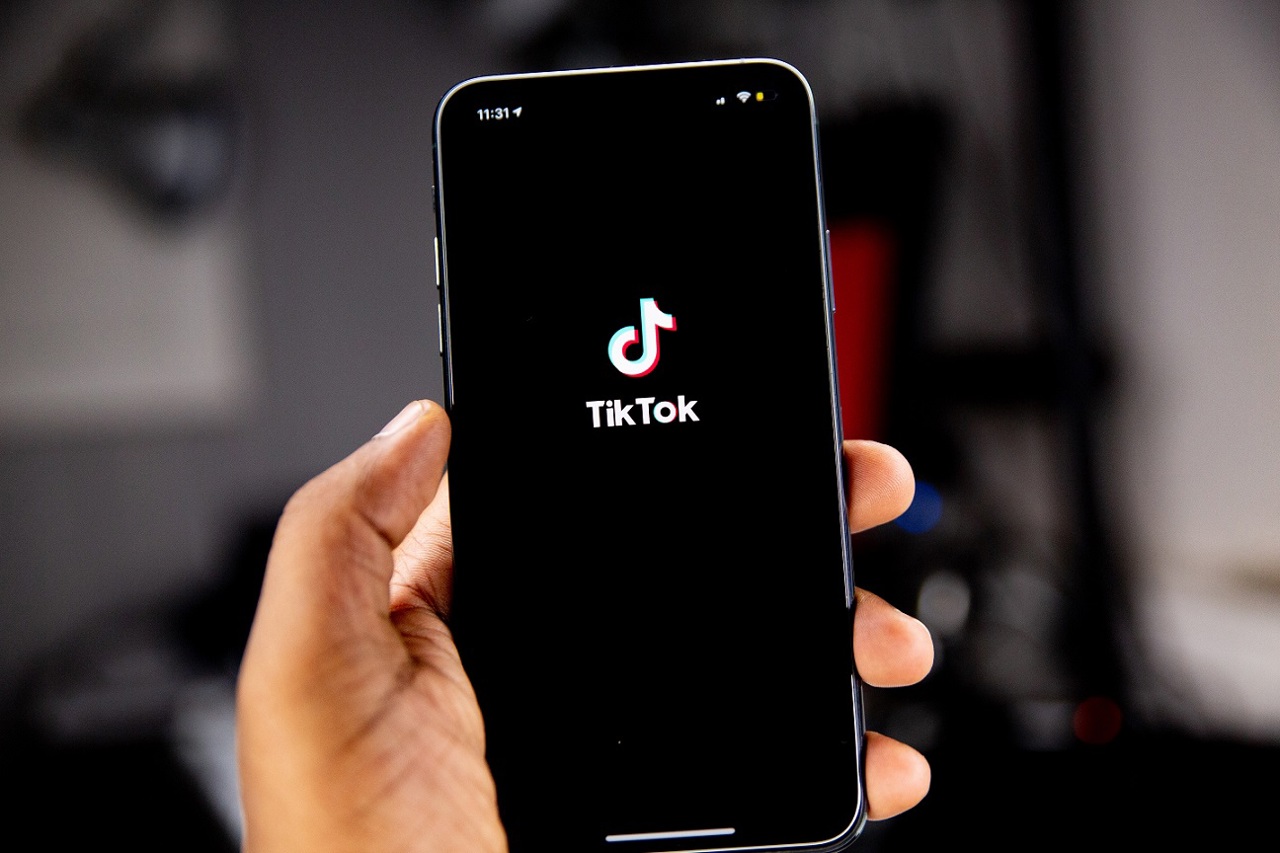 Promo-LEX warns coordinated TikTok fake accounts push anti-EU and anti-government narratives