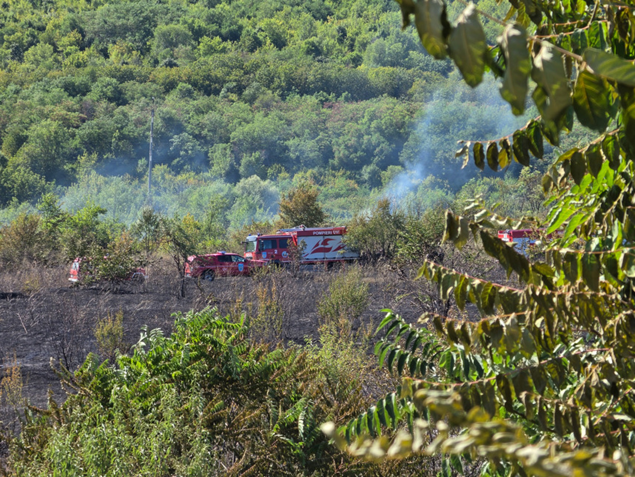 Incendiu de vegetație uscată în capitală. Focul a fost localizat după mai bine de trei ore