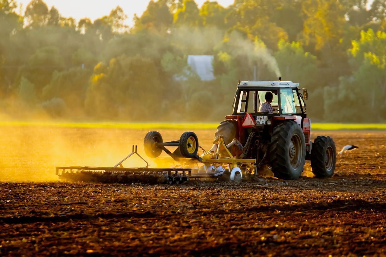 Moldova vows aid to farmers hit by Transnistrian taxes