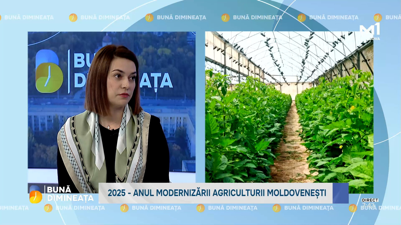 MAIA reviews the losses farmers in southern Moldova reported