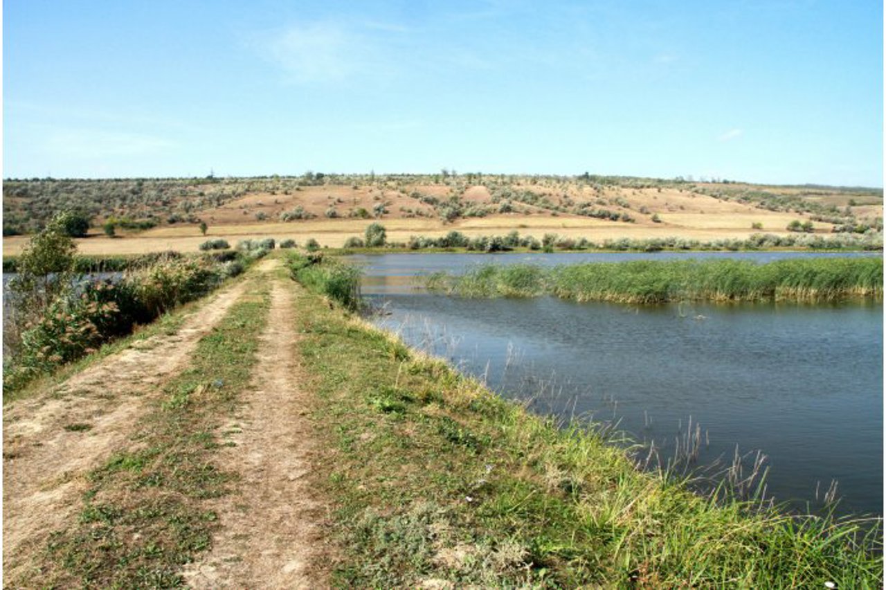 Un teren agricol de 24 ha din comuna Lăpușna va fi împădurit de Agenția „Moldsilva”