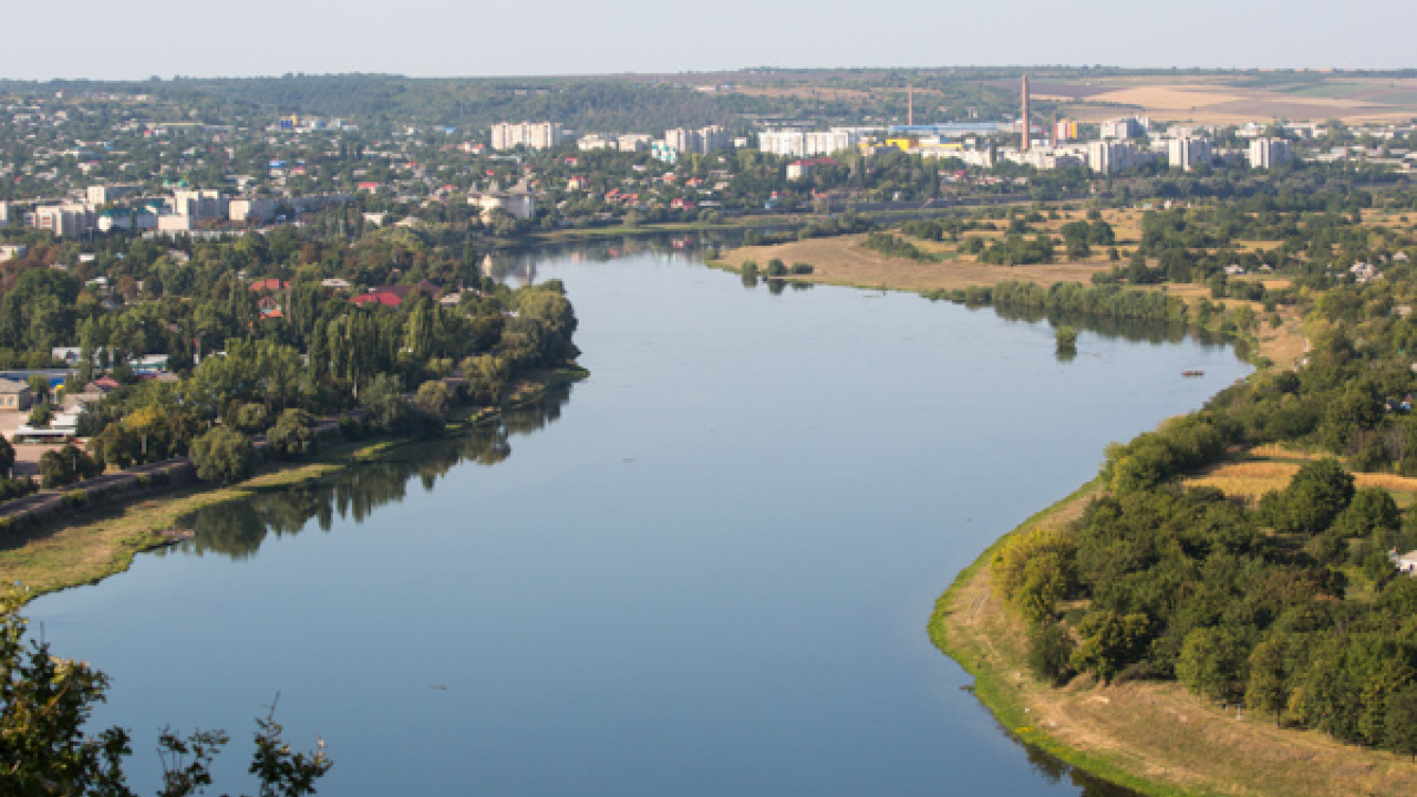 Pădurile pot salva Nistrul: Nivelul scăzut al apei afectează grav biodiversitatea