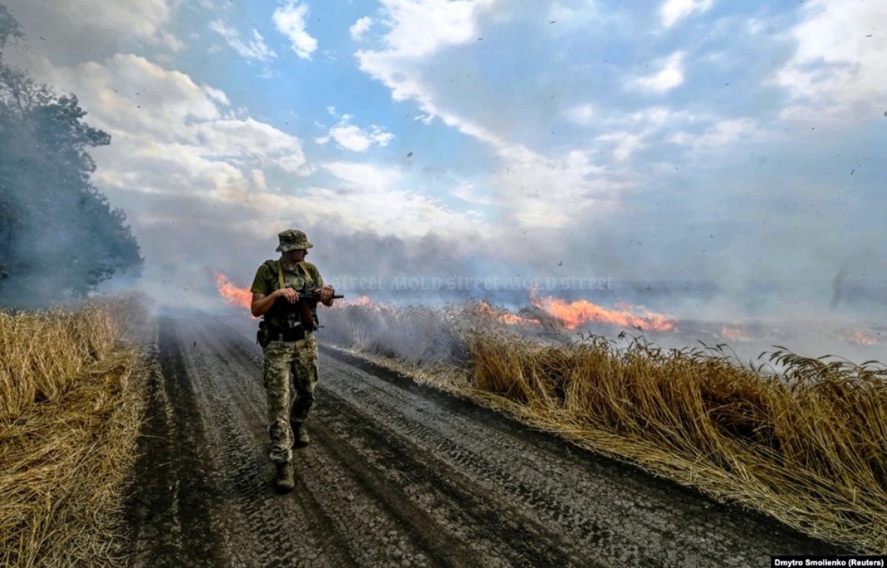 Эксперт: Блокирование экспорта зерна из Украины создает глобальные риски отсутствия продовольственной безопасности