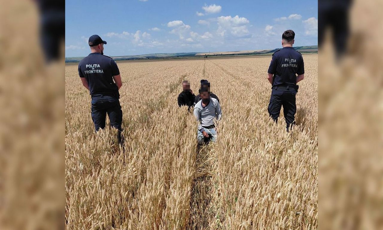 Caz de trecere ilegală a frontierei de stat: Trei cetățeni străini, găsiți într-un lan de grâu 