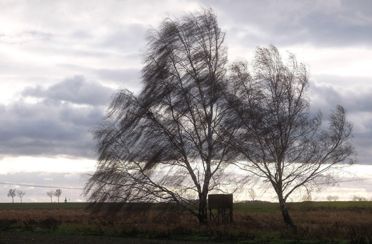 Weather warning: Yellow code  for strong winds across the country