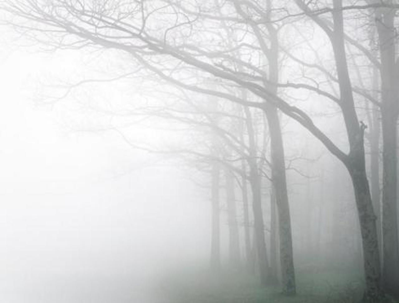 Meteorologii au emis cod galben de ceață