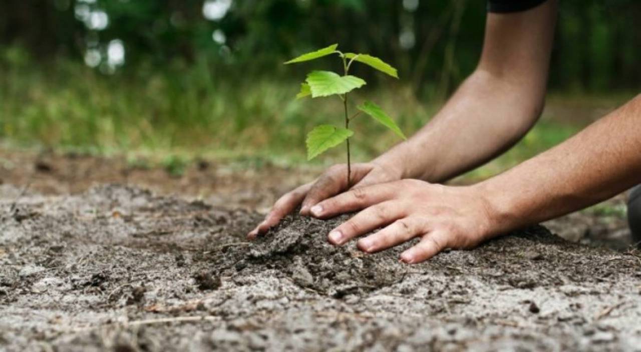 Valea râului Molovateț, exemplu pentru protejarea mediului și adaptarea la noile realități climatice