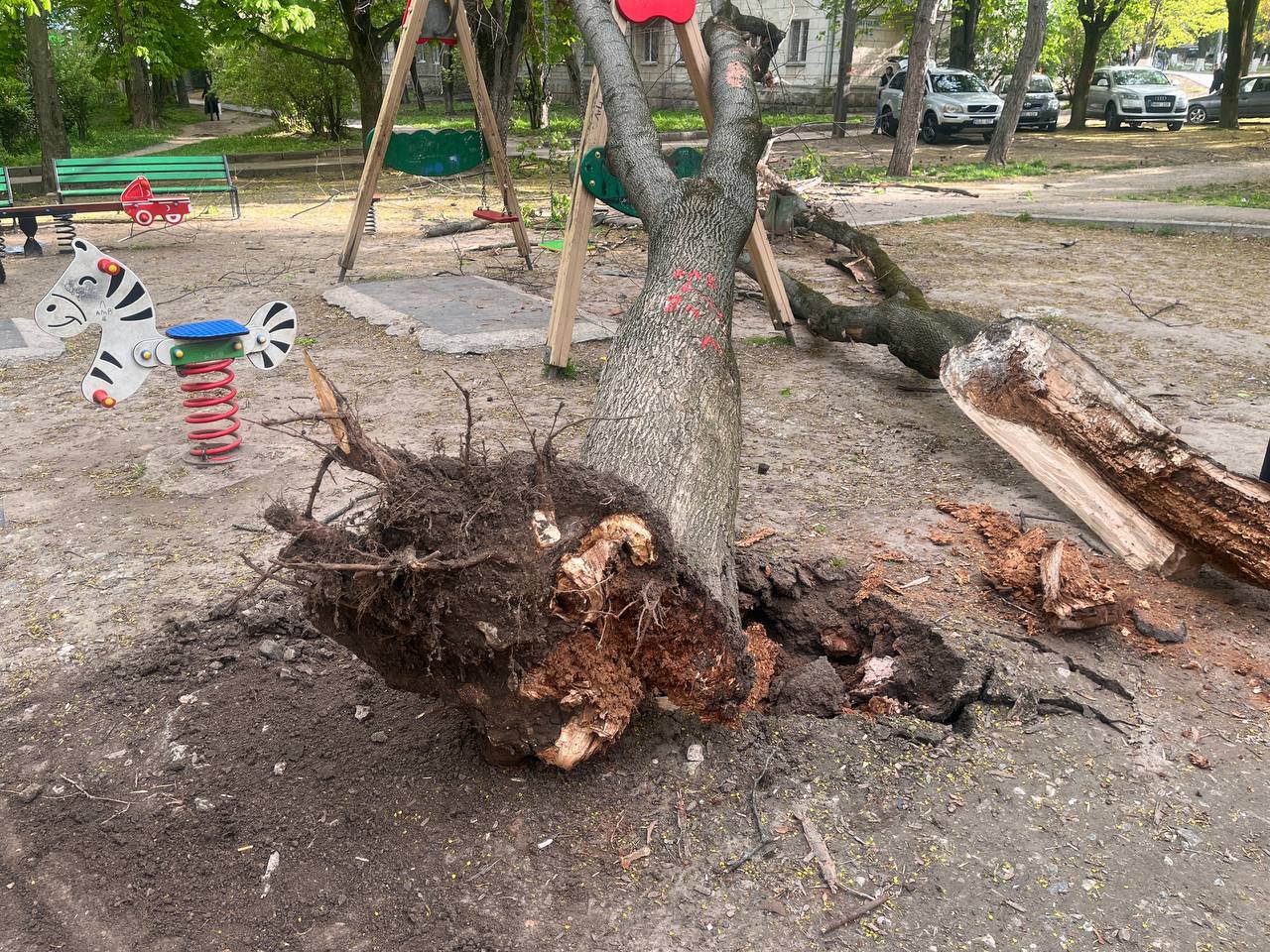 Consecințele vântului în capitală: O creangă a căzut peste un troleibuz cu pasageri, iar un arbore - pe un teren de joacă 