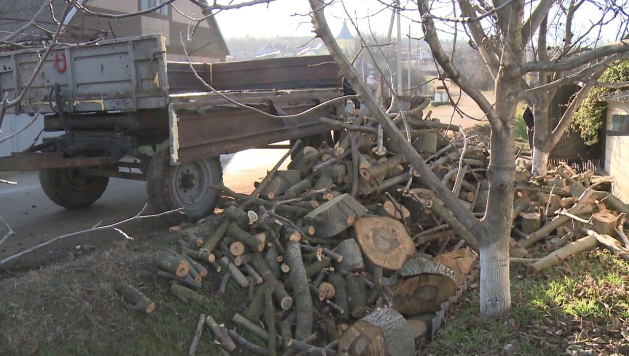 În lipsă de gaze, locuitorii satului Fîrlădeni, Căușeni, își fac rezerve de lemne