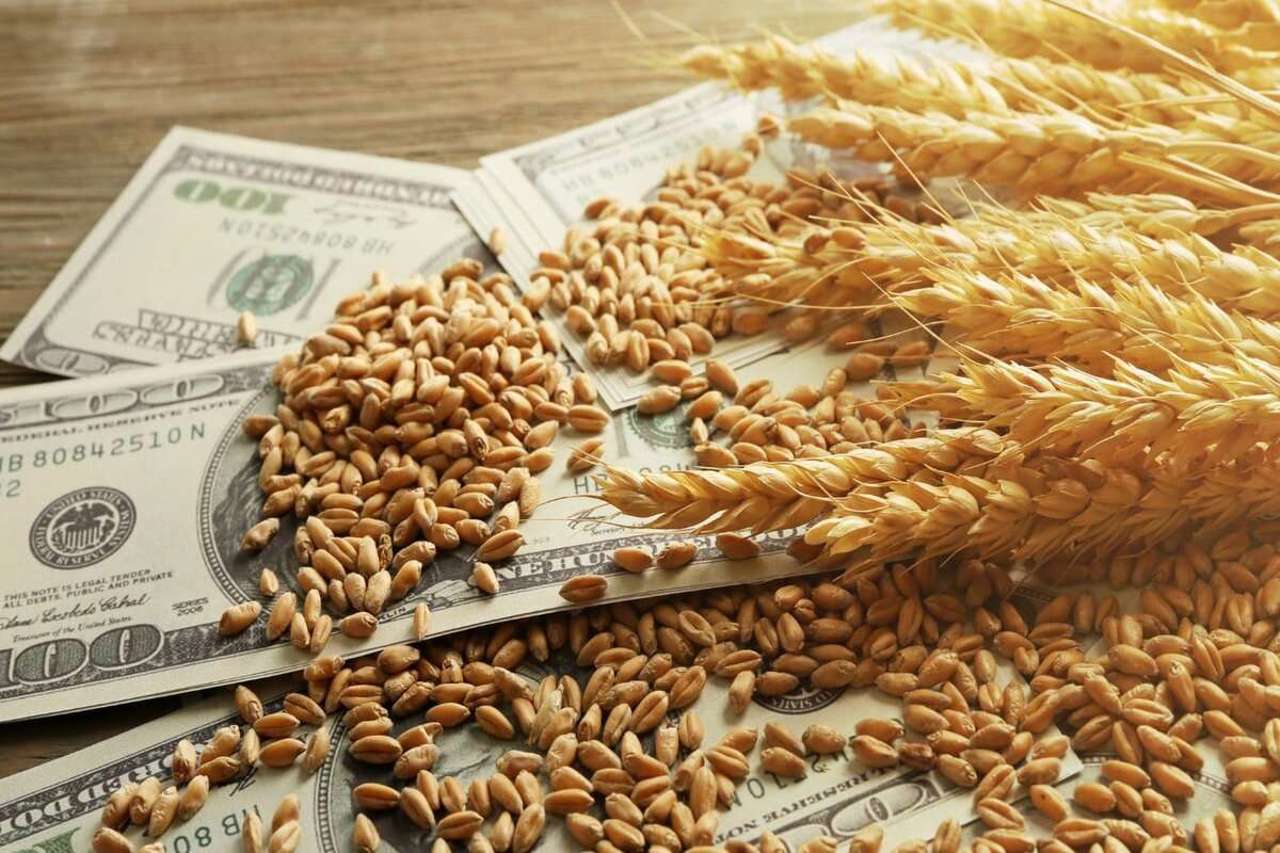 AIPA a încheiat apelul pentru sprijinul financiar destinat primelor de asigurare în agricultură