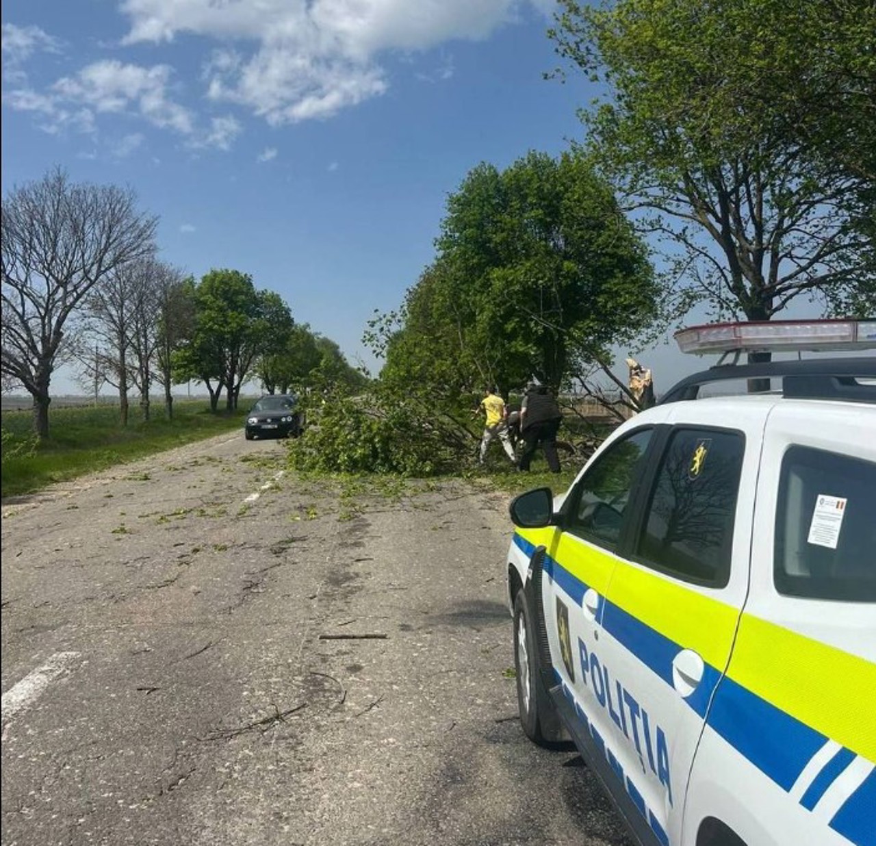 Consecințele vântului puternic: Drumuri blocate de copaci doborâți, pomi căzuți peste mașini și puncte de trecere a frontierei blocate  