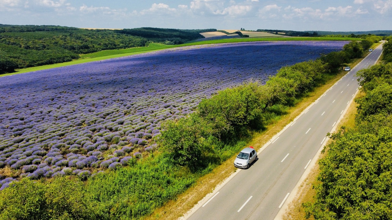Zeci de afaceri din domeniul turismului vor beneficia de sprijin financiar nerambursabil