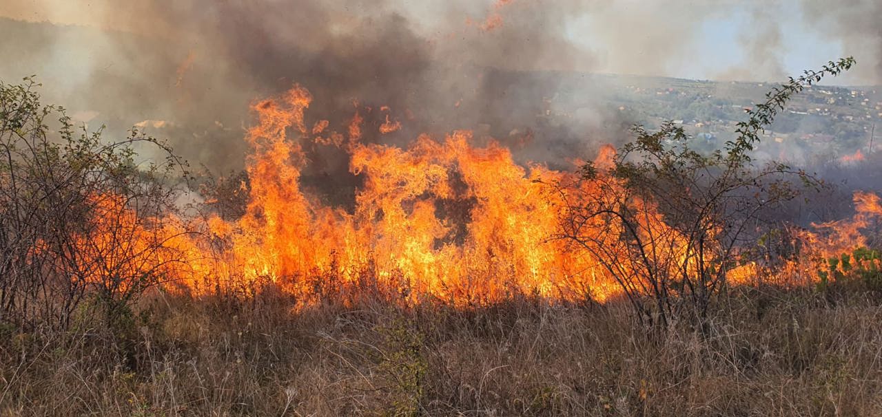  IGSU avertizează asupra incendiilor de vegetație: Amenzi de peste 500 de mii de lei aplicate de la începutul anului