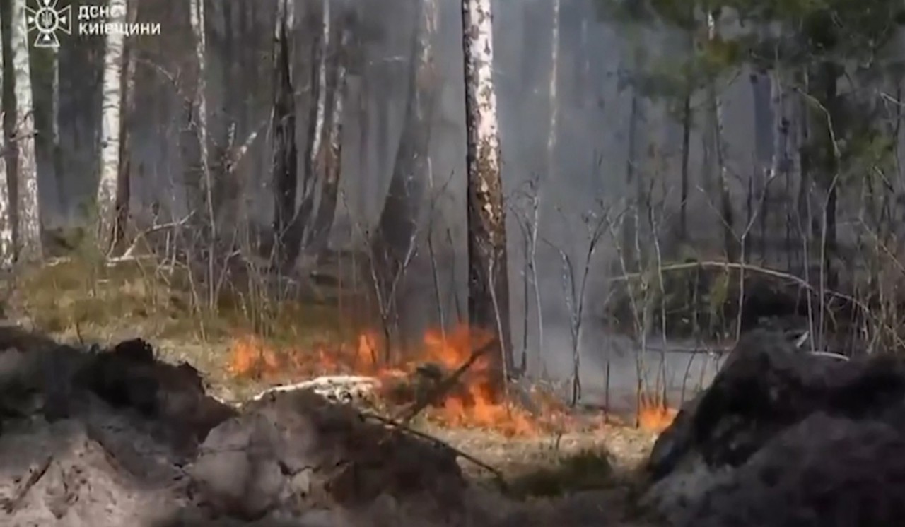 Ucraina | Peste 1.100 de hectare de păduri sunt în flăcări. Pompierii luptă cu focul care se extinde rapid 