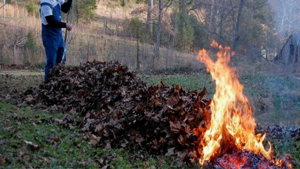 Burning leaves a threat to environment, human health