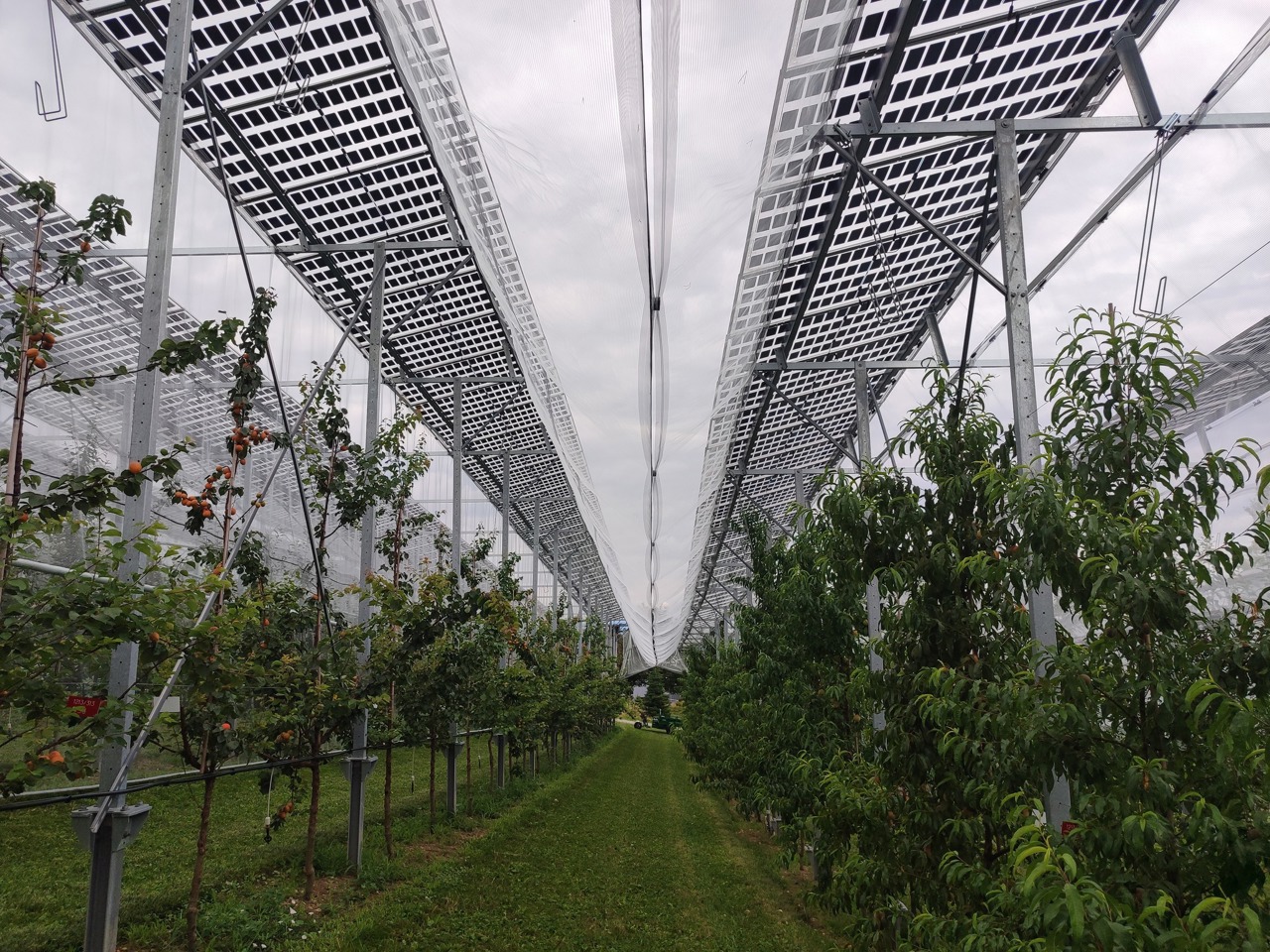 С 13 октября фермеры могут подавать заявки на постинвестиционные субсидии