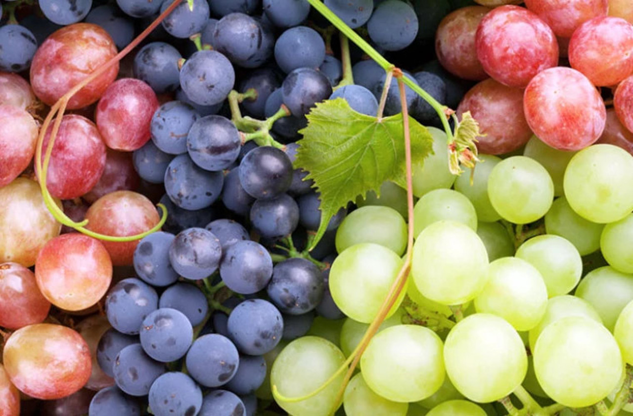 The Republic of Moldova reached a new record in the export of grapes