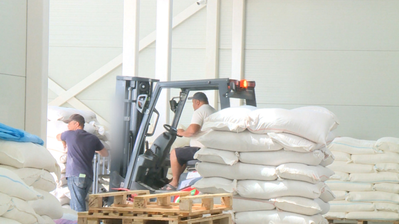 Automated mill in northern Moldova targets EU and Asian markets