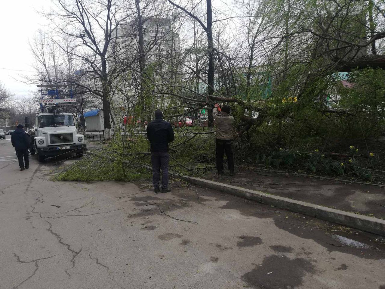 Consecințele vântului puternic în municipiul Chișinău: Circa 30 de substații de alimentare cu electricitate au fost afectate