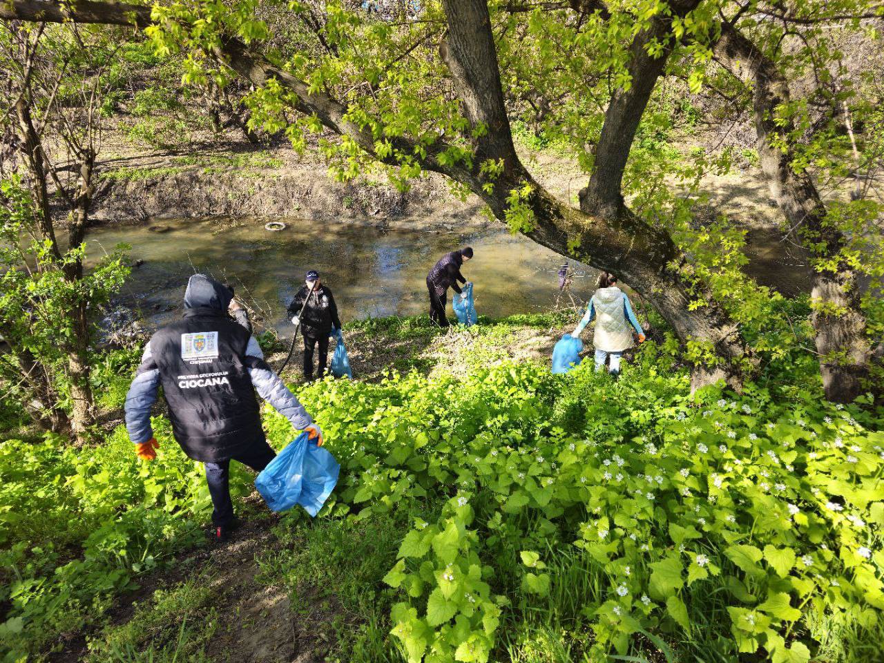 Hundreds of volunteers joined the Bâc River cleanup action