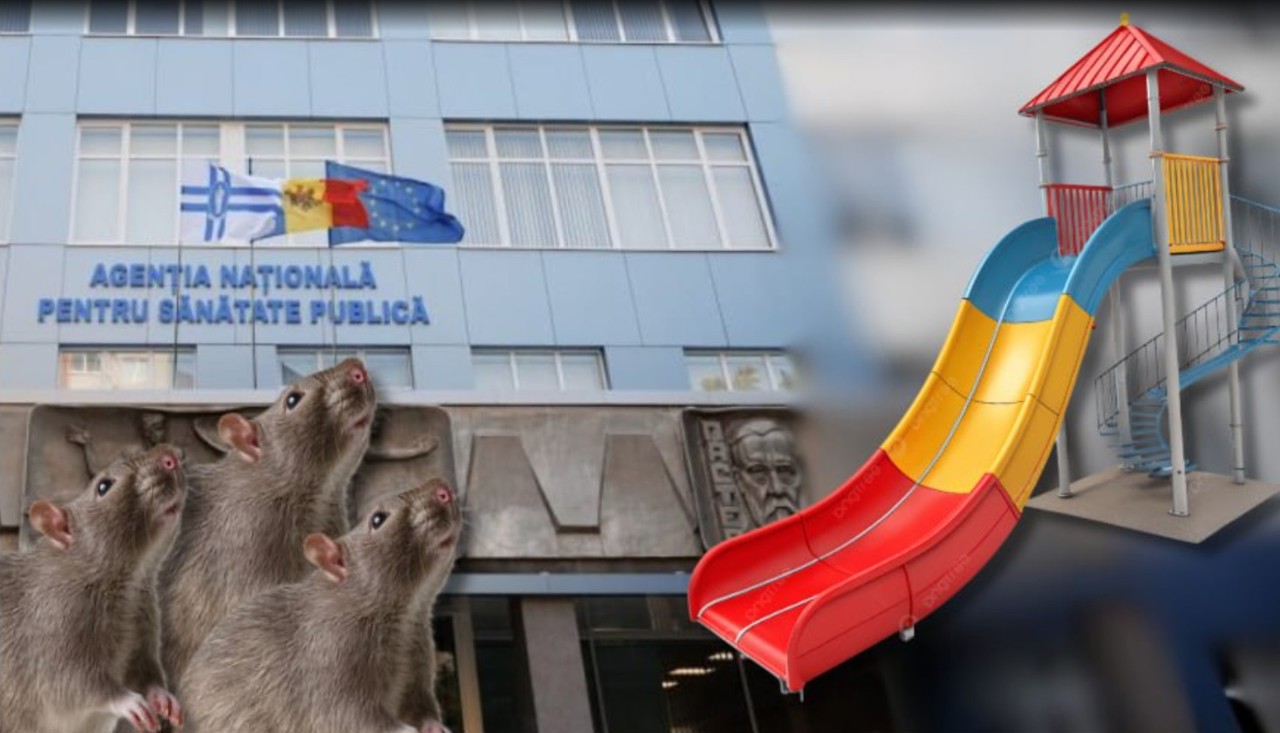 Invazie de șobolani, reclamată de locuitori ai Chișinăului. ANSP: „Nu au fost identificate focare”