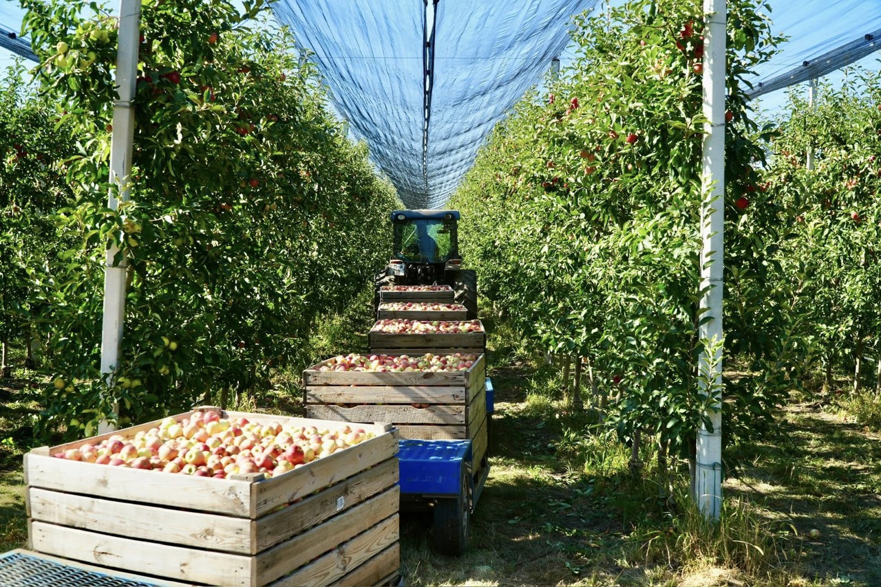 Three million euros from the EU for the Digital Farmers' Register and modern employment services