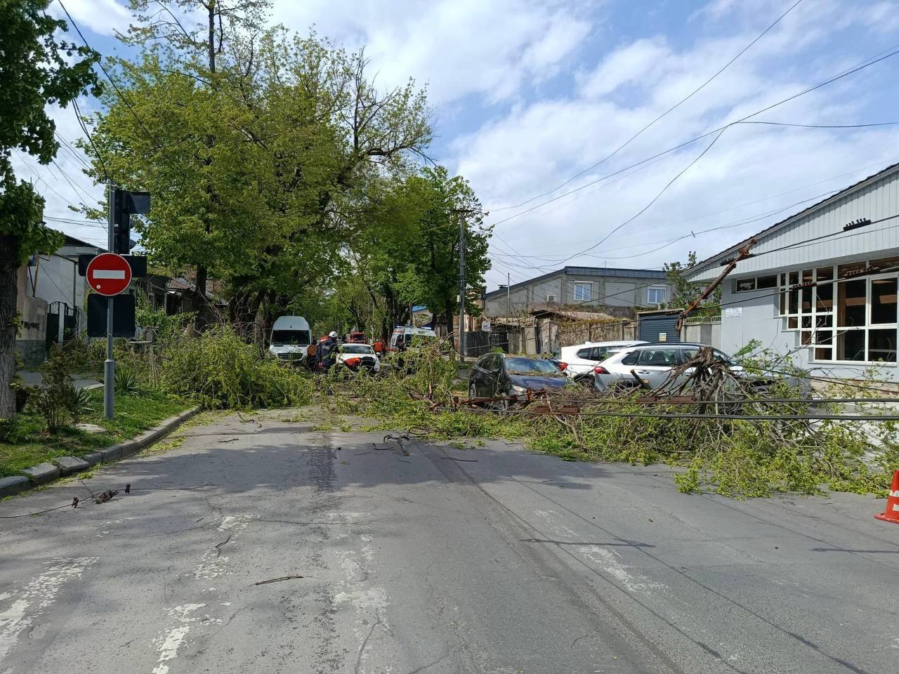 BILANȚ | Vântul de duminică a provocat peste 230 de incidente: Cinci persoane traumatizate, 48 de copaci au căzut peste automobile 